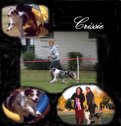 Crissie